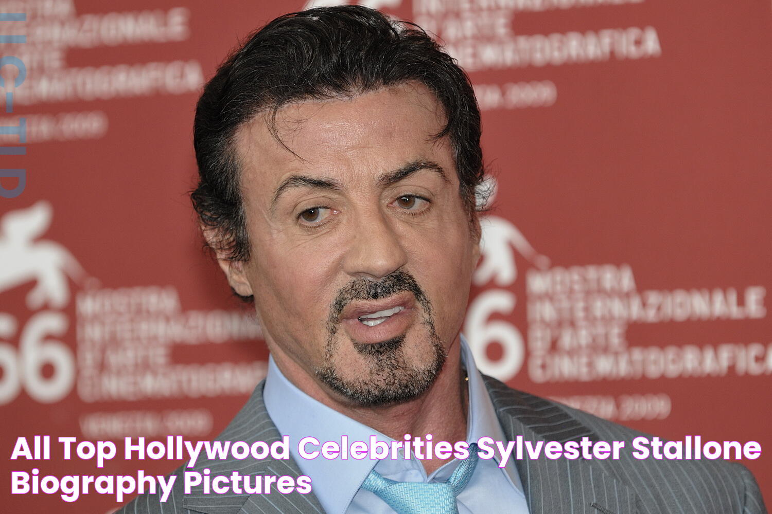 All Top Hollywood Celebrities Sylvester Stallone Biography Pictures