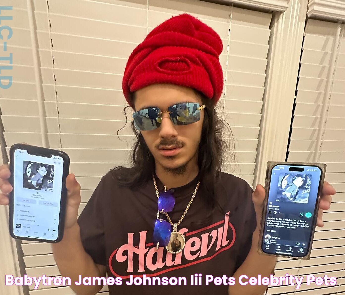 BabyTron (James Johnson III) Pets Celebrity Pets