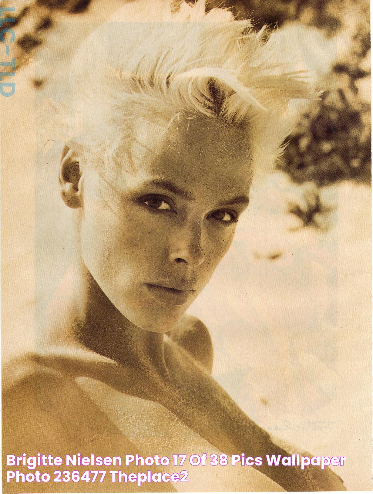 Brigitte Nielsen photo 17 of 38 pics, wallpaper photo 236477 ThePlace2