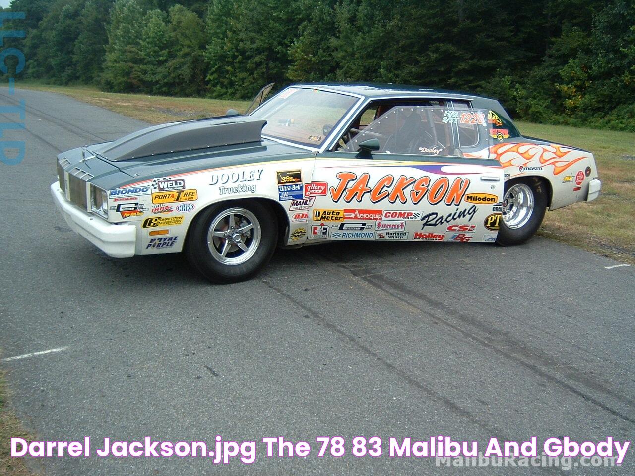 Darrel Jackson.jpg The '78'83 Malibu and GBody