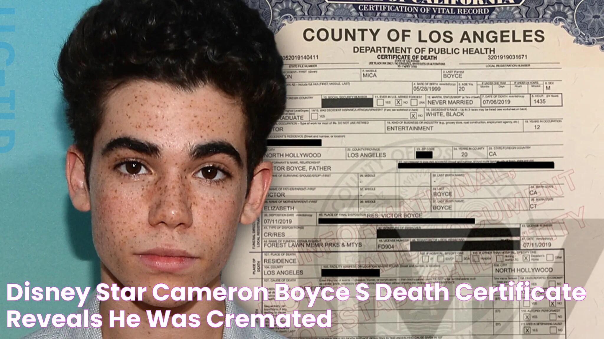 Disney Star Cameron Boyce's Death Certificate Reveals He was Cremated