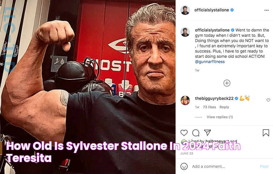 How Old Is Sylvester Stallone In 2024 Faith Teresita