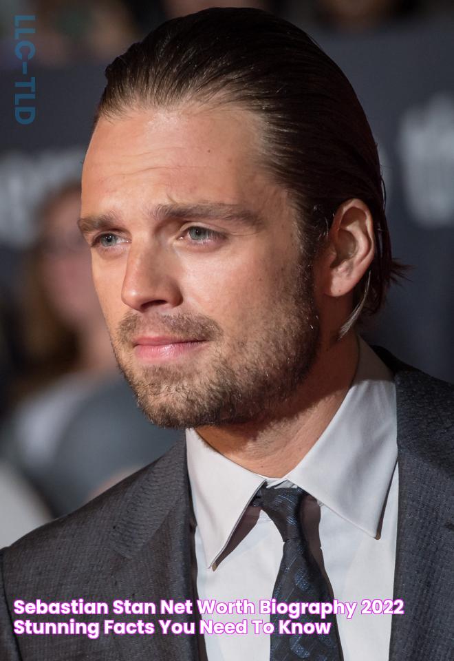 Sebastian Stan Net Worth & Biography 2022 Stunning Facts You Need To Know