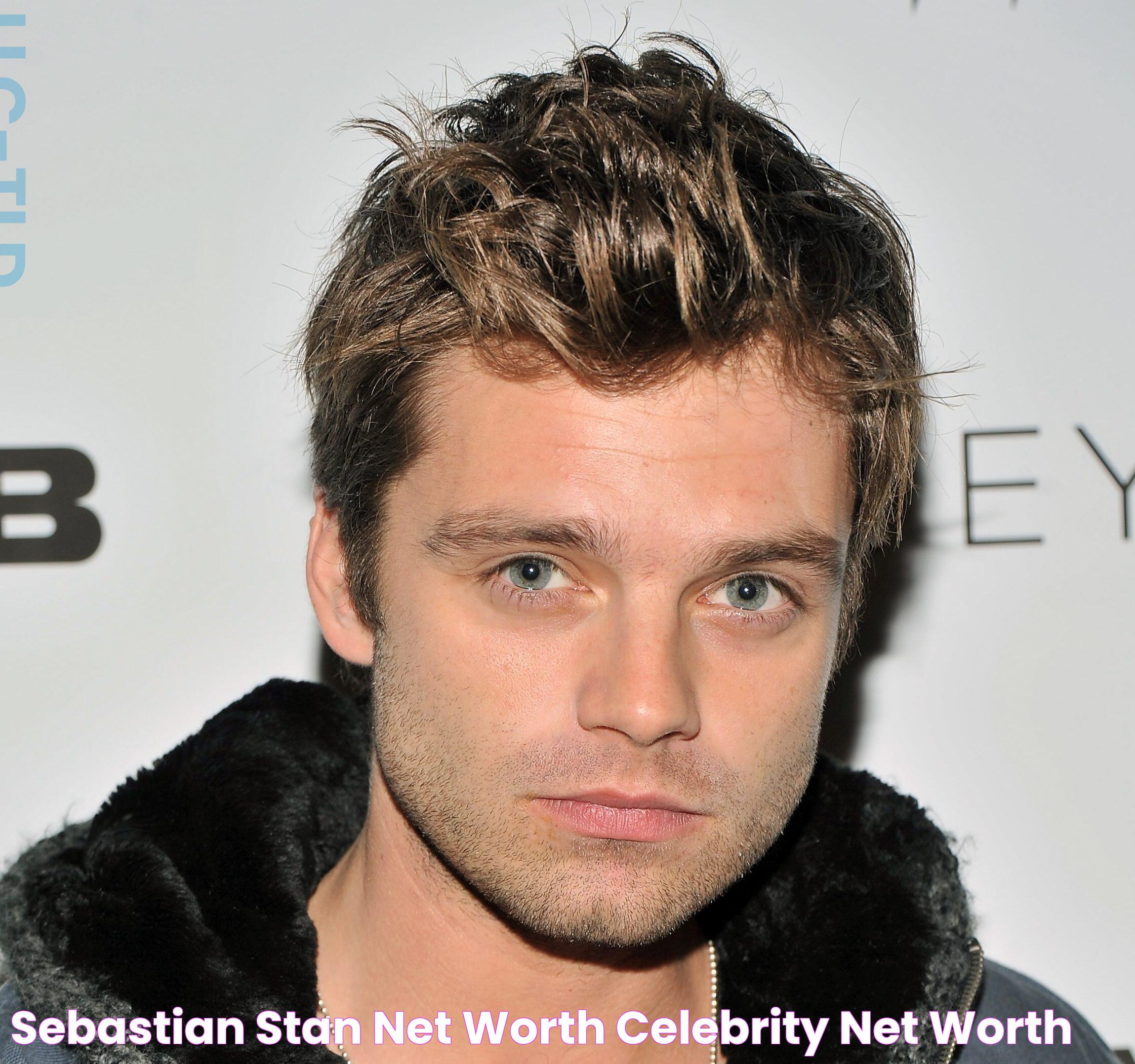 Sebastian Stan Net Worth Celebrity Net Worth