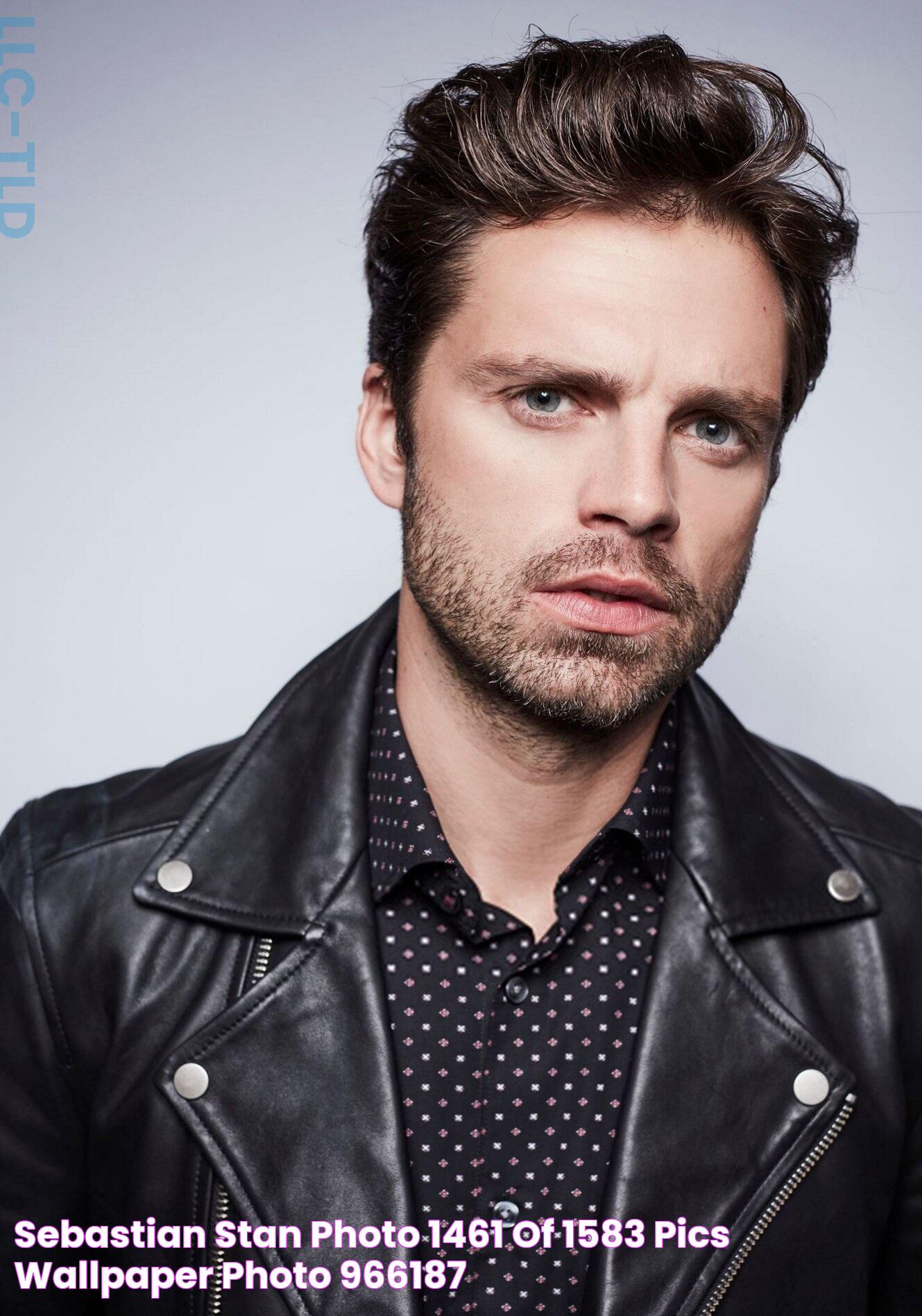 Sebastian Stan photo 1461 of 1583 pics, wallpaper photo 966187