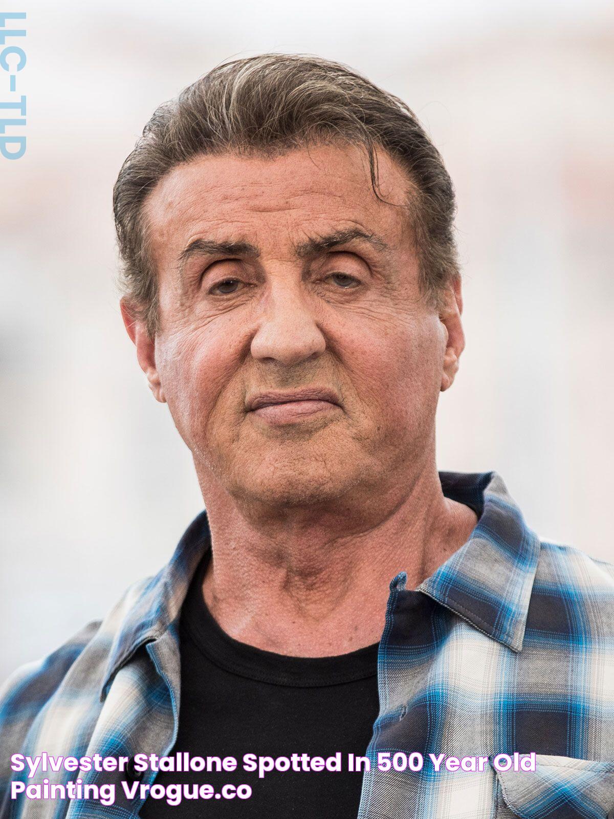 Sylvester Stallone Spotted In 500 Year Old Painting vrogue.co