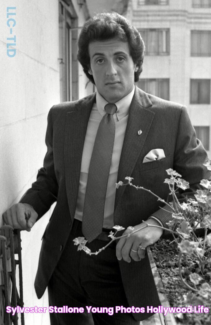 Sylvester Stallone Young Photos Hollywood Life