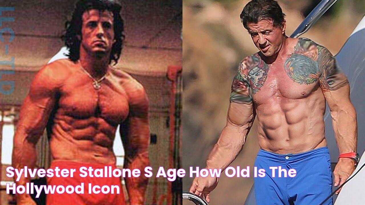 Sylvester Stallone's Age How Old Is The Hollywood Icon?