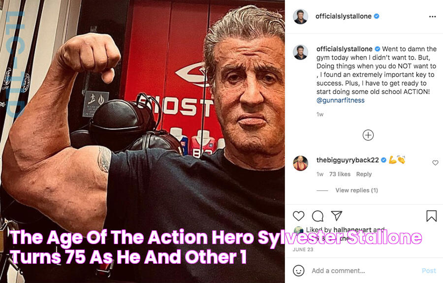 The Age of the Action Hero Sylvester Stallone Turns 75 As He and Other