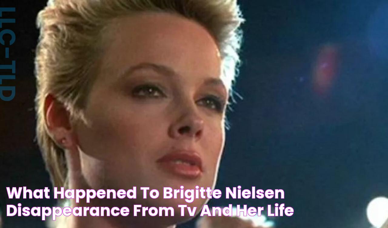 What Happened to Brigitte Nielsen Disappearance from TV and Her Life