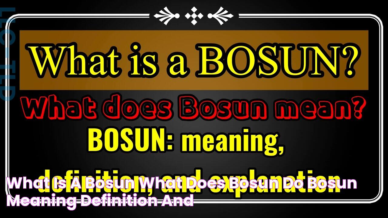 What is a BOSUN? What does BOSUN do? Bosun meaning, definition and