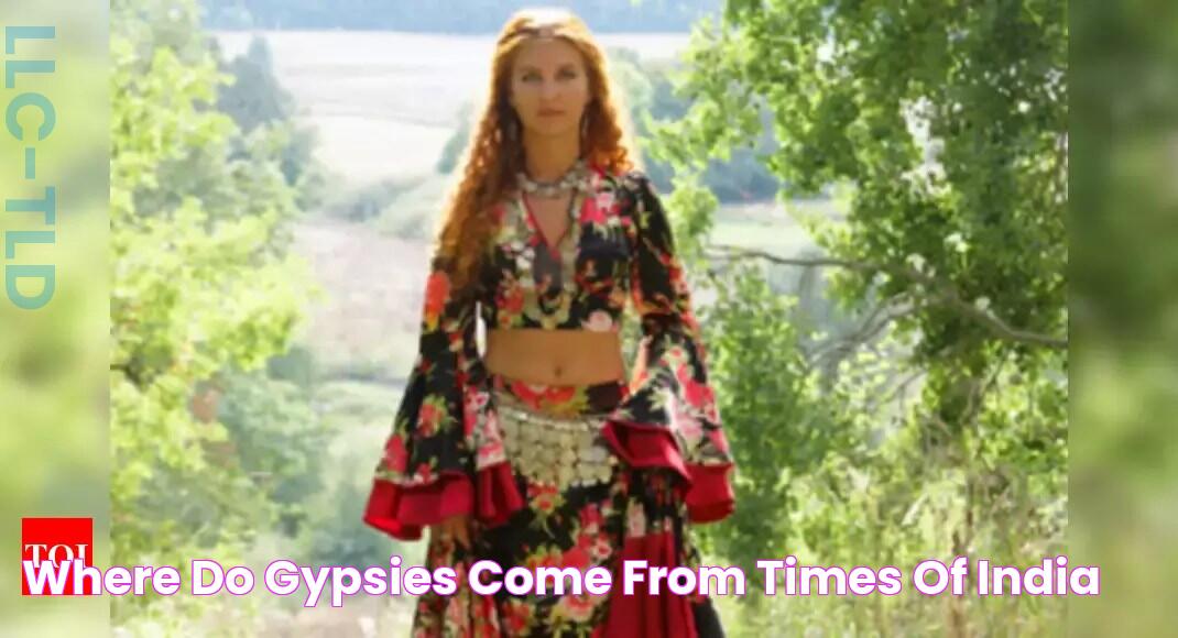 Where do gypsies come from? Times of India