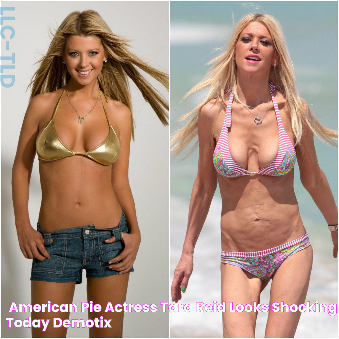 'American Pie' Actress Tara Reid Looks Shocking Today DemotiX