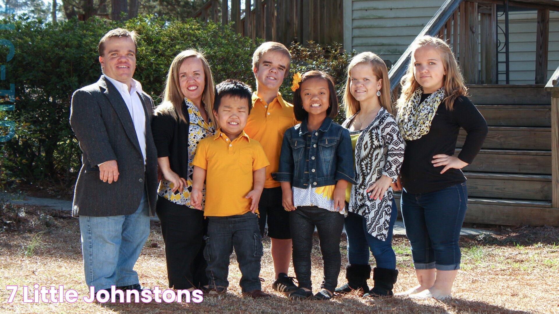 7 Little Johnstons