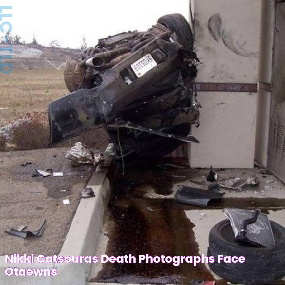 Nikki Catsouras Death Photographs Face » Otaewns