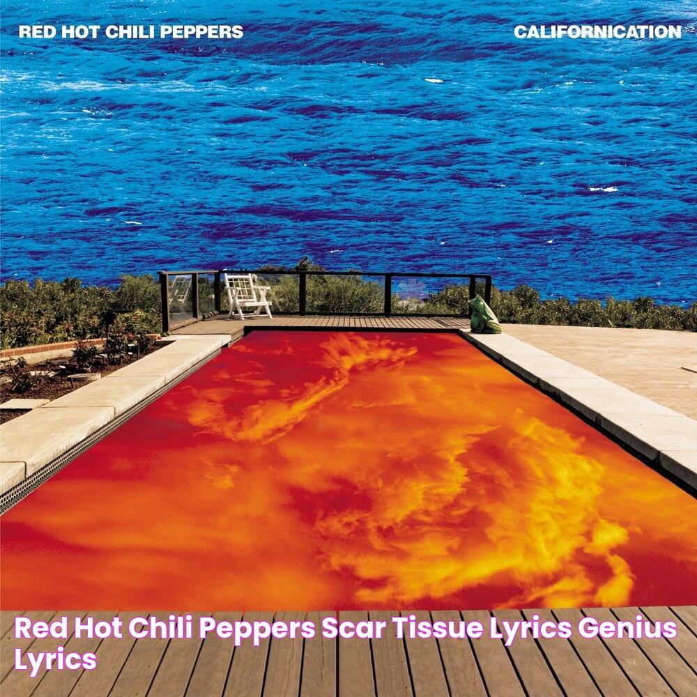 Red Hot Chili Peppers Scar Tissue Lyrics Genius Lyrics