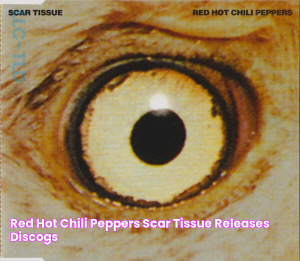 Red Hot Chili Peppers Scar Tissue Releases Discogs