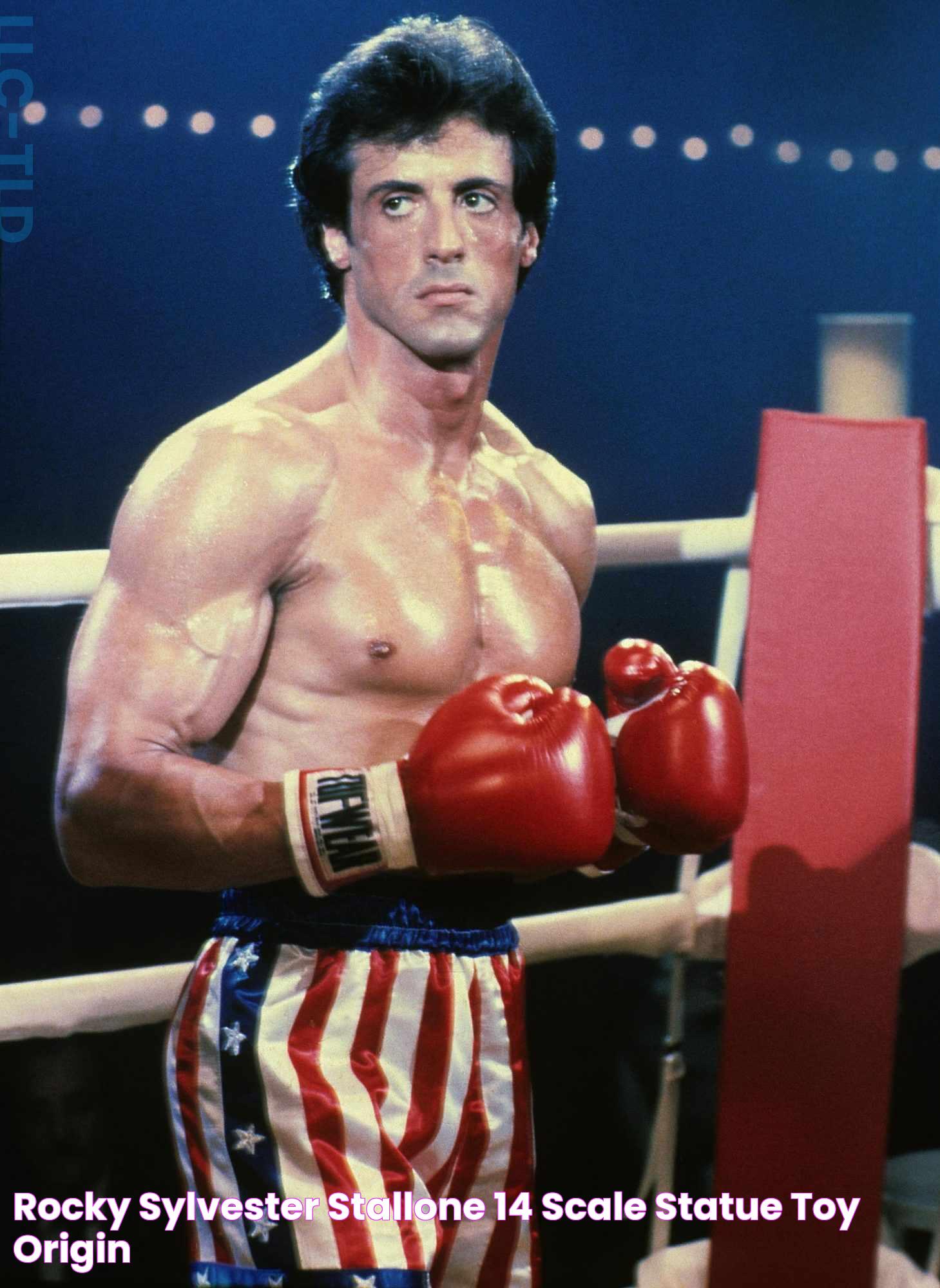 Rocky (Sylvester Stallone) 14 Scale Statue Toy Origin