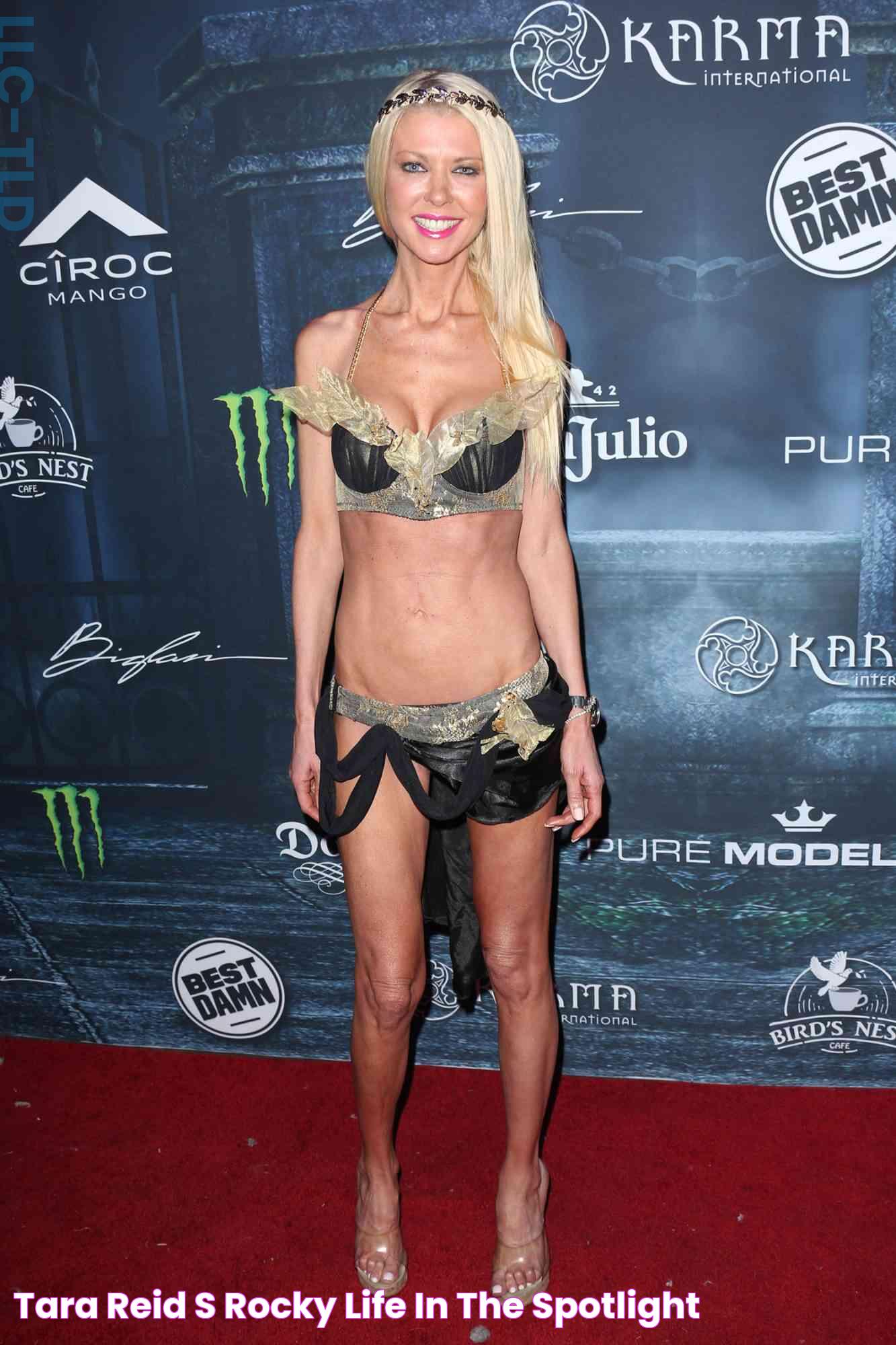 Tara Reid's Rocky Life in the Spotlight