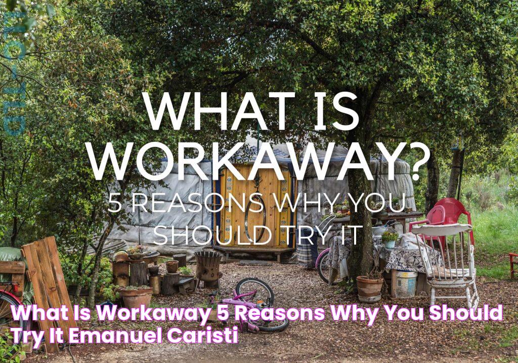 WHAT IS WORKAWAY? 5 Reasons why you should try it! EMANUEL CARISTI