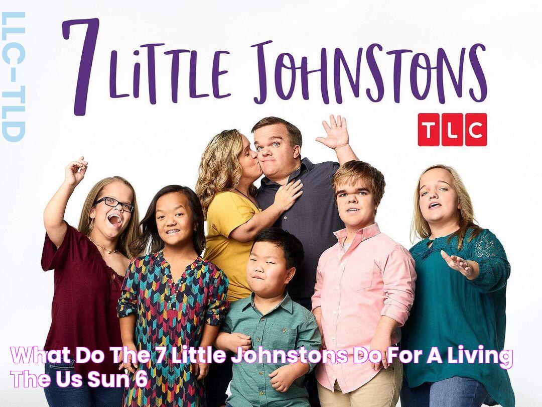 What do the 7 Little Johnstons do for a living? The US Sun