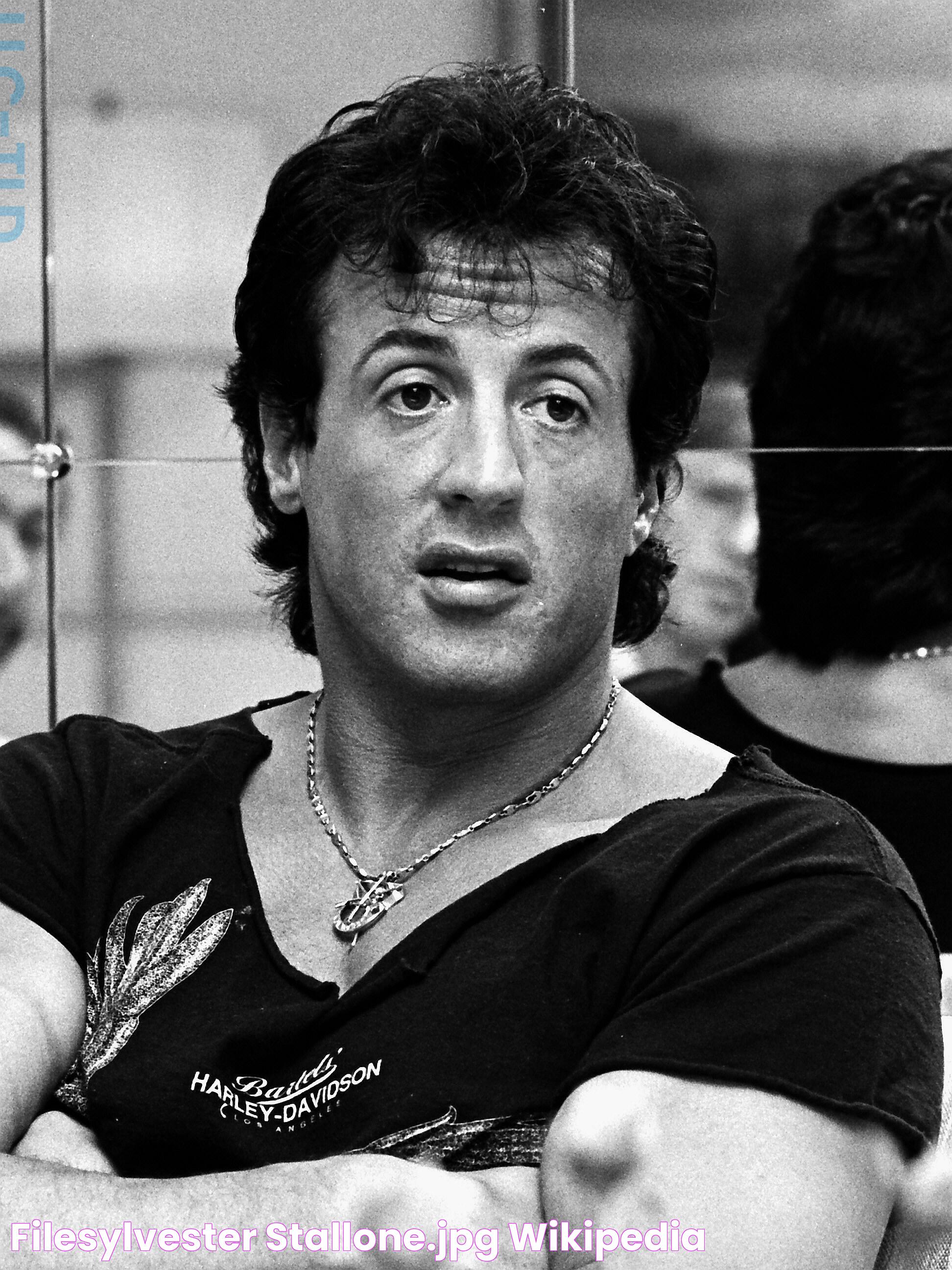 FileSylvester Stallone.jpg Wikipedia