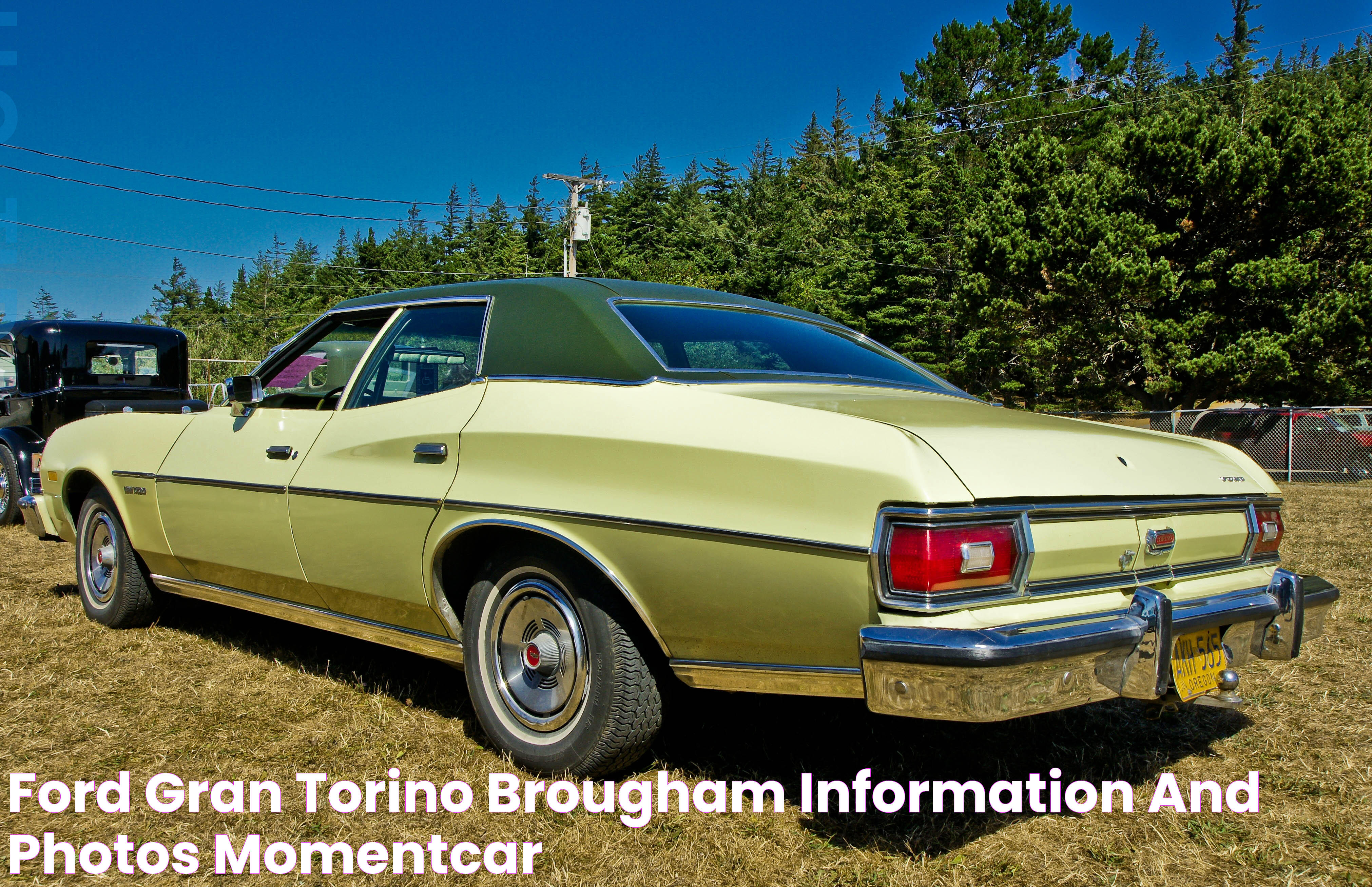 Ford Gran Torino Brougham Information and photos MOMENTcar