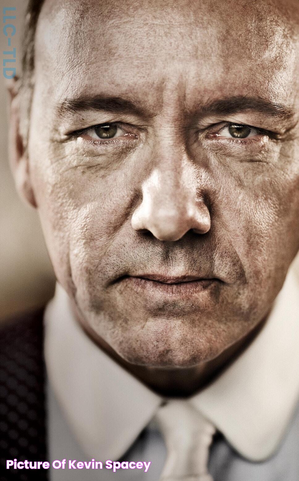 Picture of Kevin Spacey