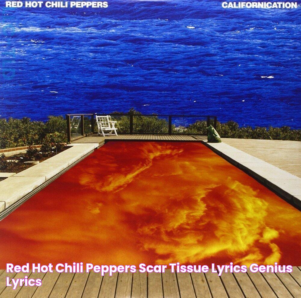 Red Hot Chili Peppers Scar Tissue Lyrics Genius Lyrics