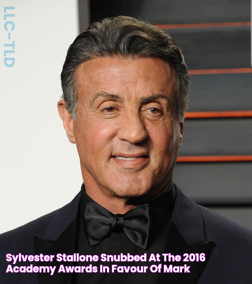 Sylvester Stallone snubbed at the 2016 Academy Awards in favour of Mark