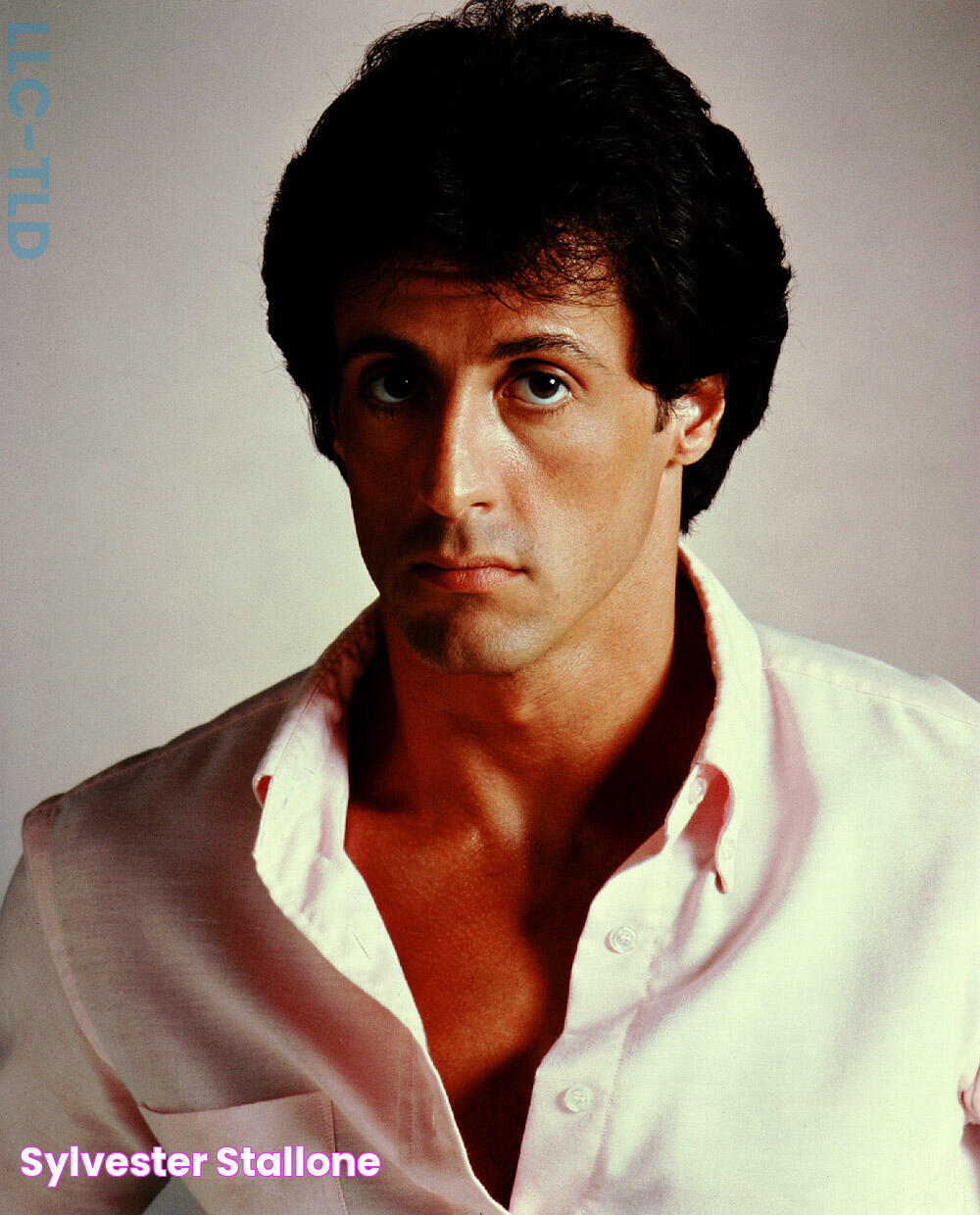 Sylvester Stallone