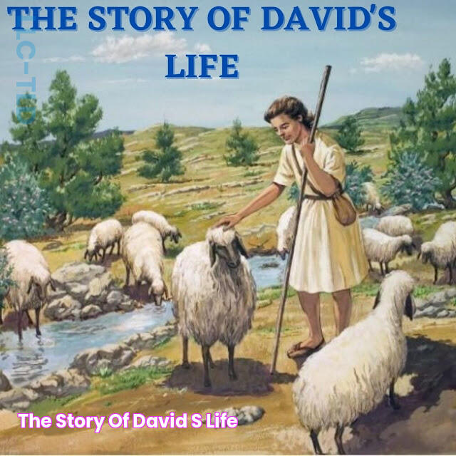 'THE STORY OF DAVID'S LIFE'