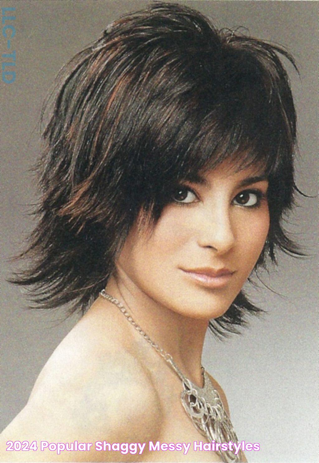 2024 Popular Shaggy Messy Hairstyles