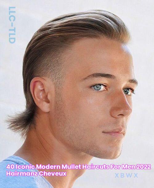 40 Iconic Modern Mullet Haircuts For Men (2022) Hairmanz Cheveux