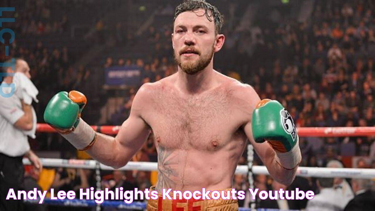 Andy Lee Highlights / Knockouts YouTube