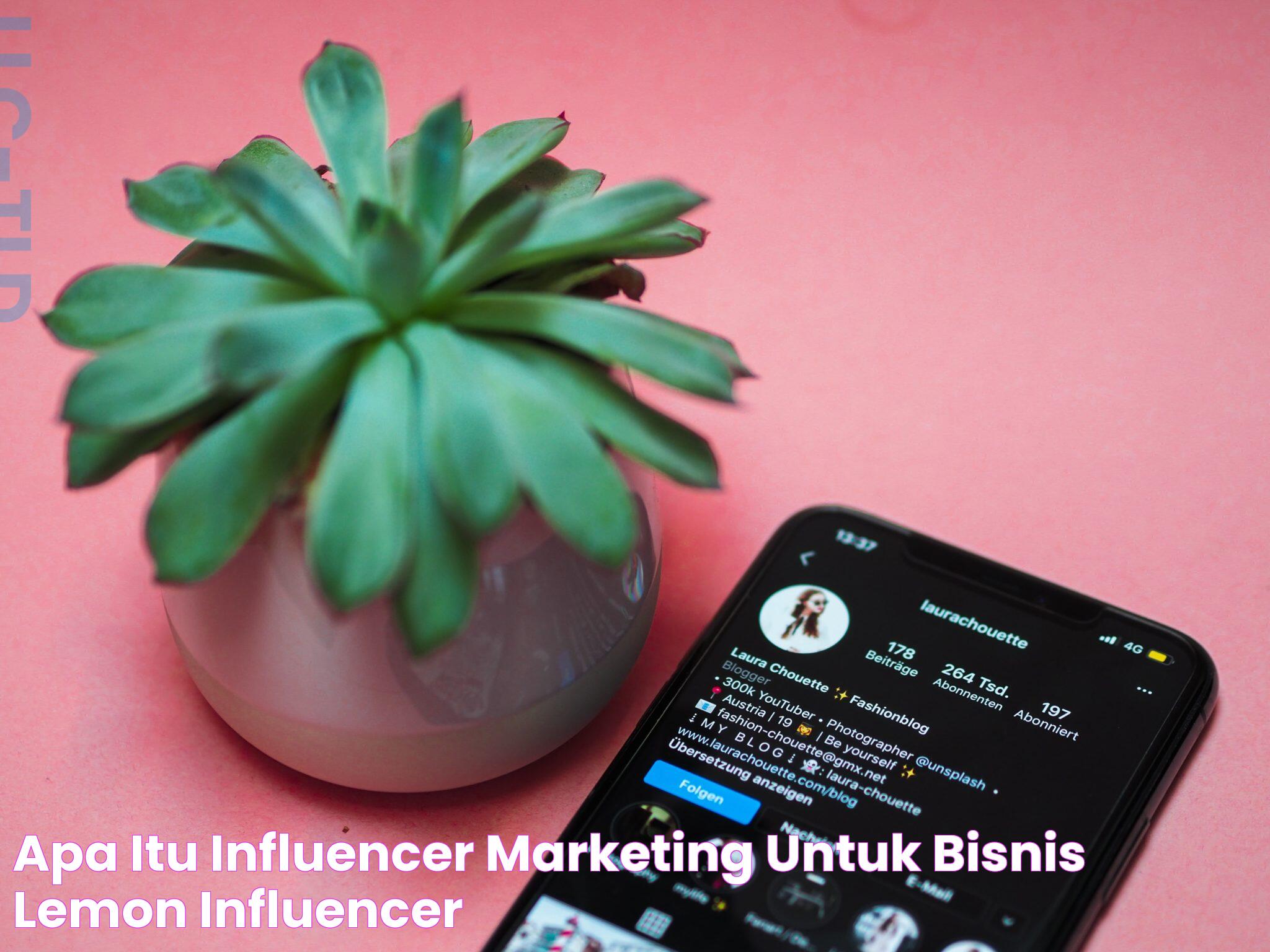 Apa Itu Influencer Marketing untuk Bisnis LEMON Influencer