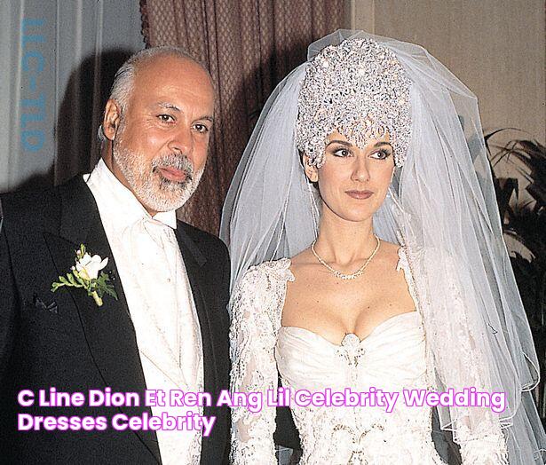 Céline Dion et René Angélil ☝️ Celebrity wedding dresses, Celebrity