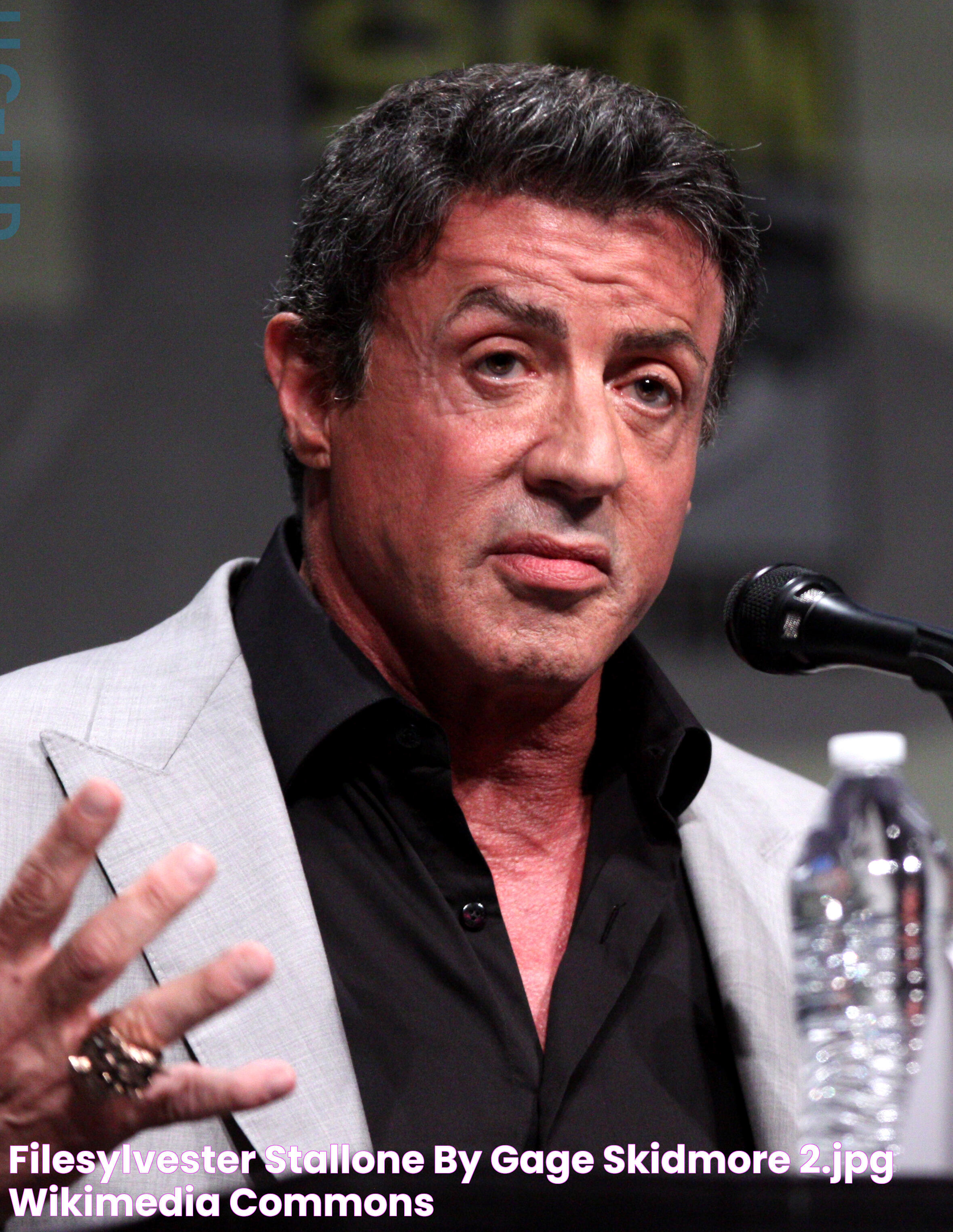 FileSylvester Stallone by Gage Skidmore 2.jpg Wikimedia Commons