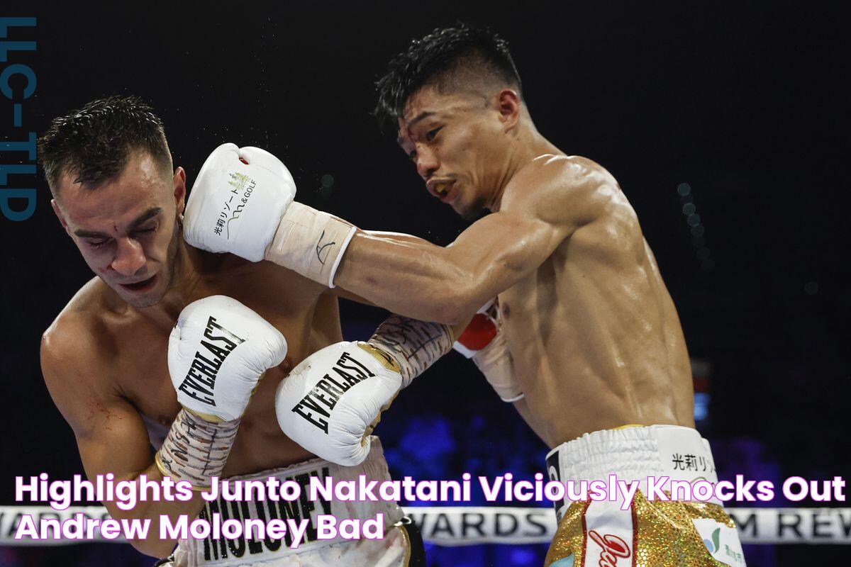 Highlights Junto Nakatani viciously knocks out Andrew Moloney Bad