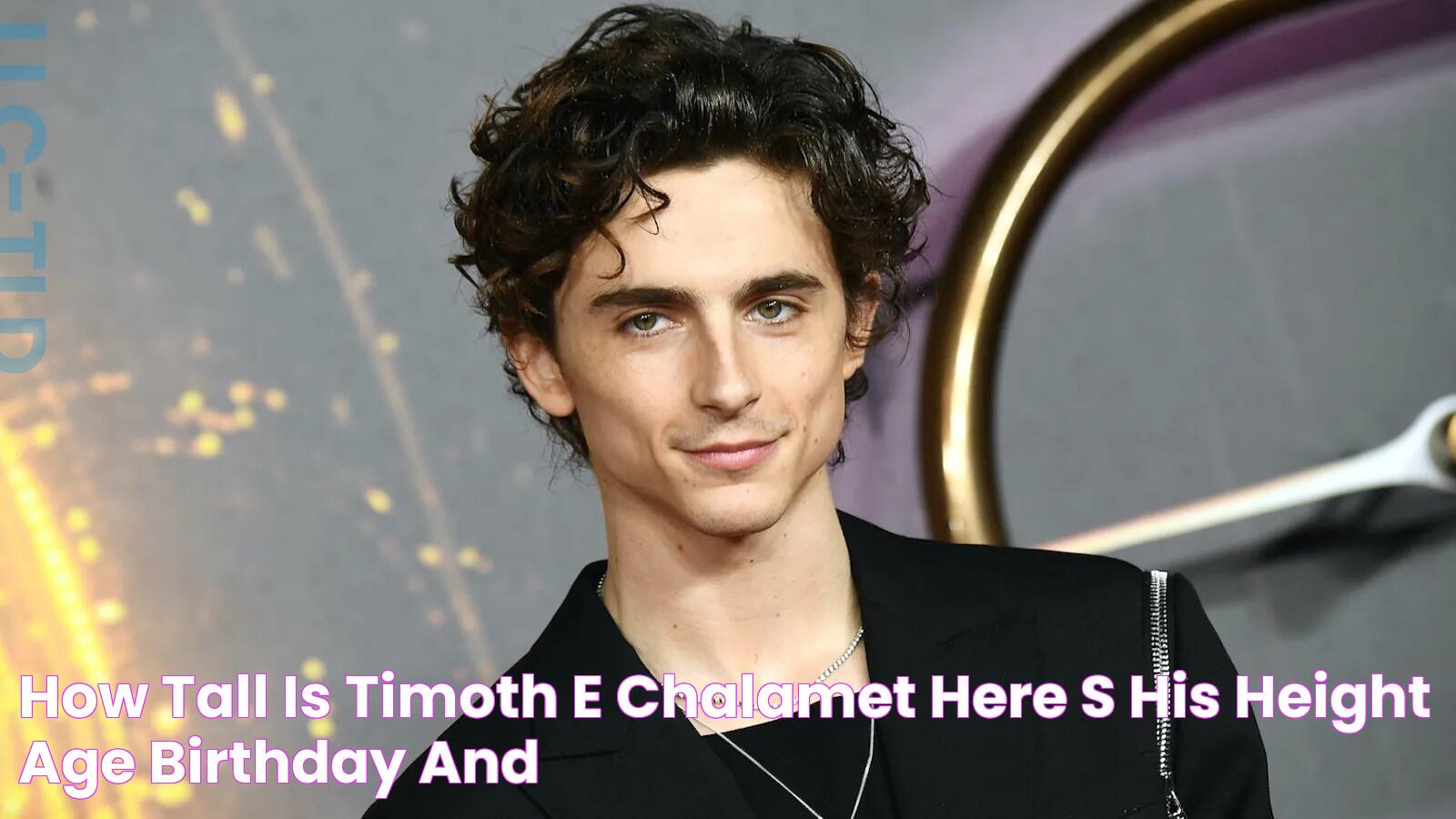 How Tall Is Timothée Chalamet? Here’s His Height, Age, Birthday, and