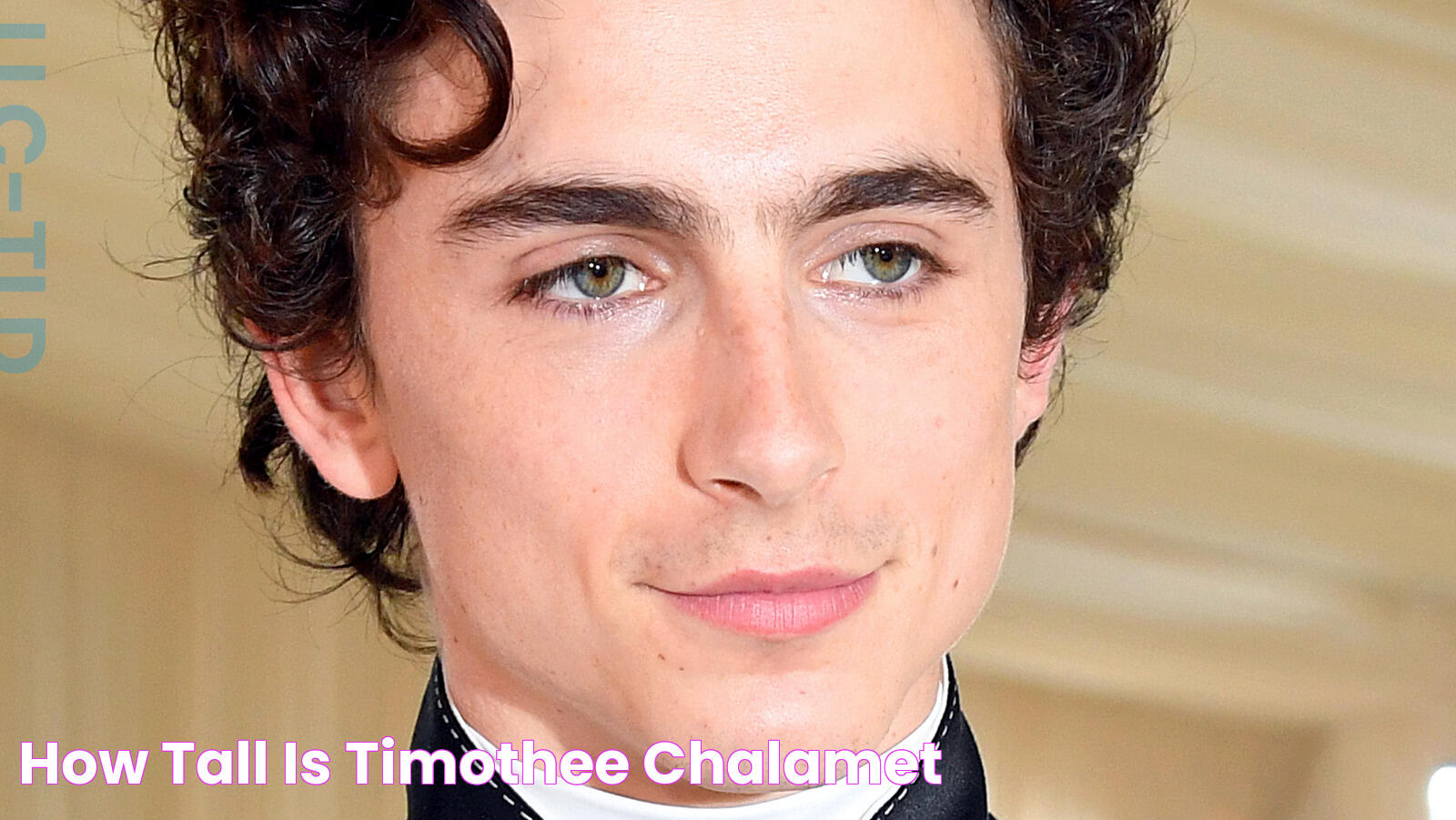 How Tall Is Timothee Chalamet?