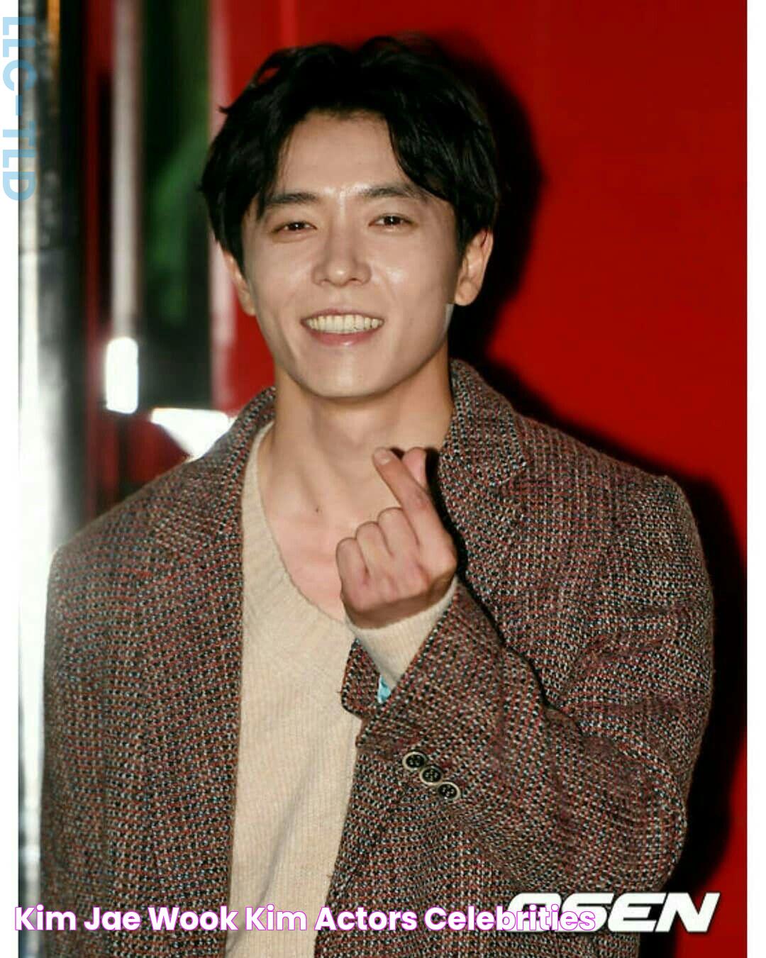 Kim Jae Wook Kim, Actors, Celebrities