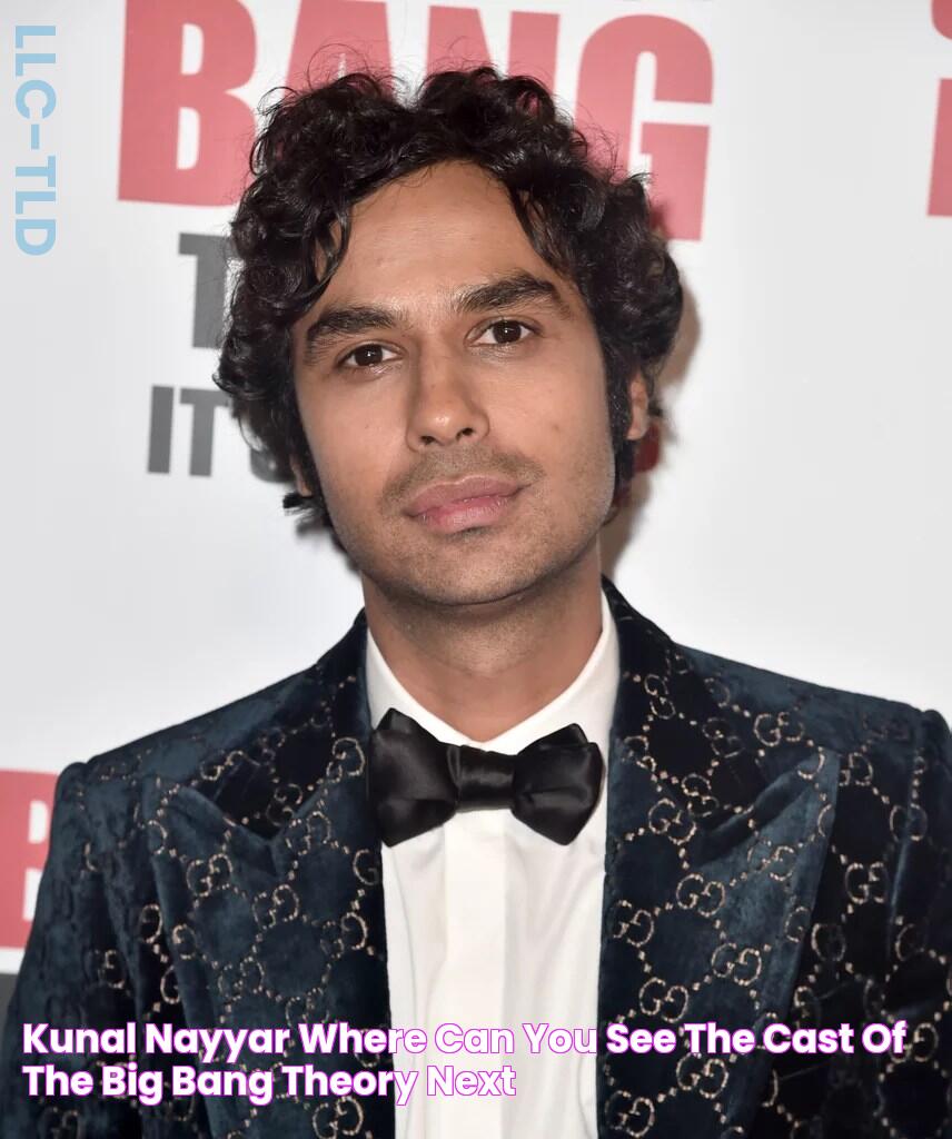 Kunal Nayyar Where Can You See the Cast of The Big Bang Theory Next