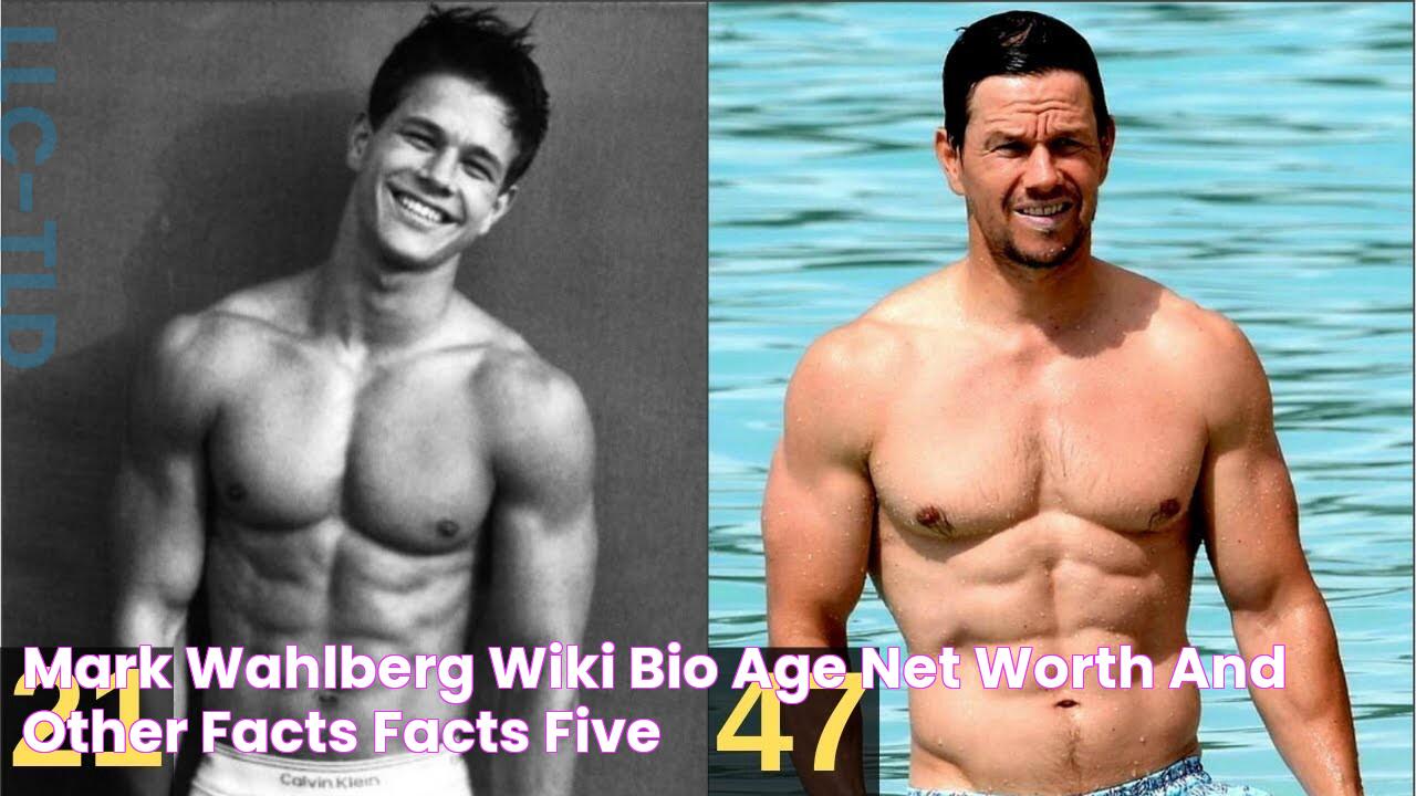 Mark Wahlberg Wiki, Bio, Age, Net Worth, and Other Facts Facts Five