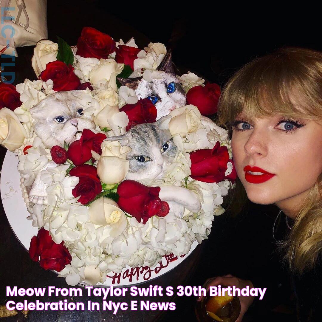 MeOw! from Taylor Swift's 30th Birthday Celebration in NYC E! News