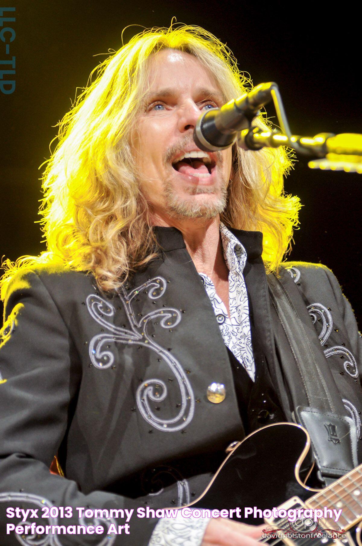 STYX 2013 Tommy shaw, Concert photography, Performance art