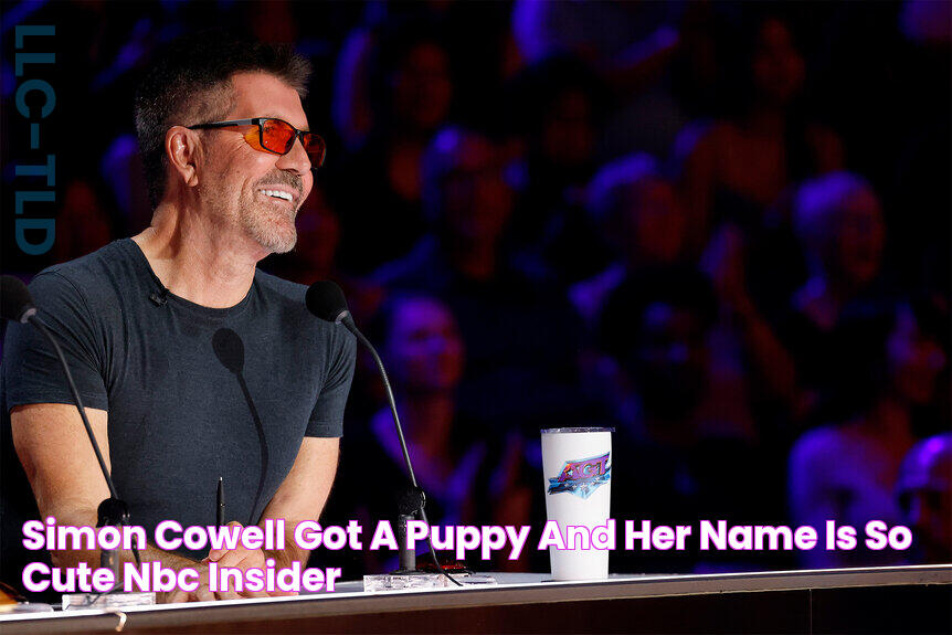 Simon Cowell Got a Puppy and Her Name Is So Cute NBC Insider