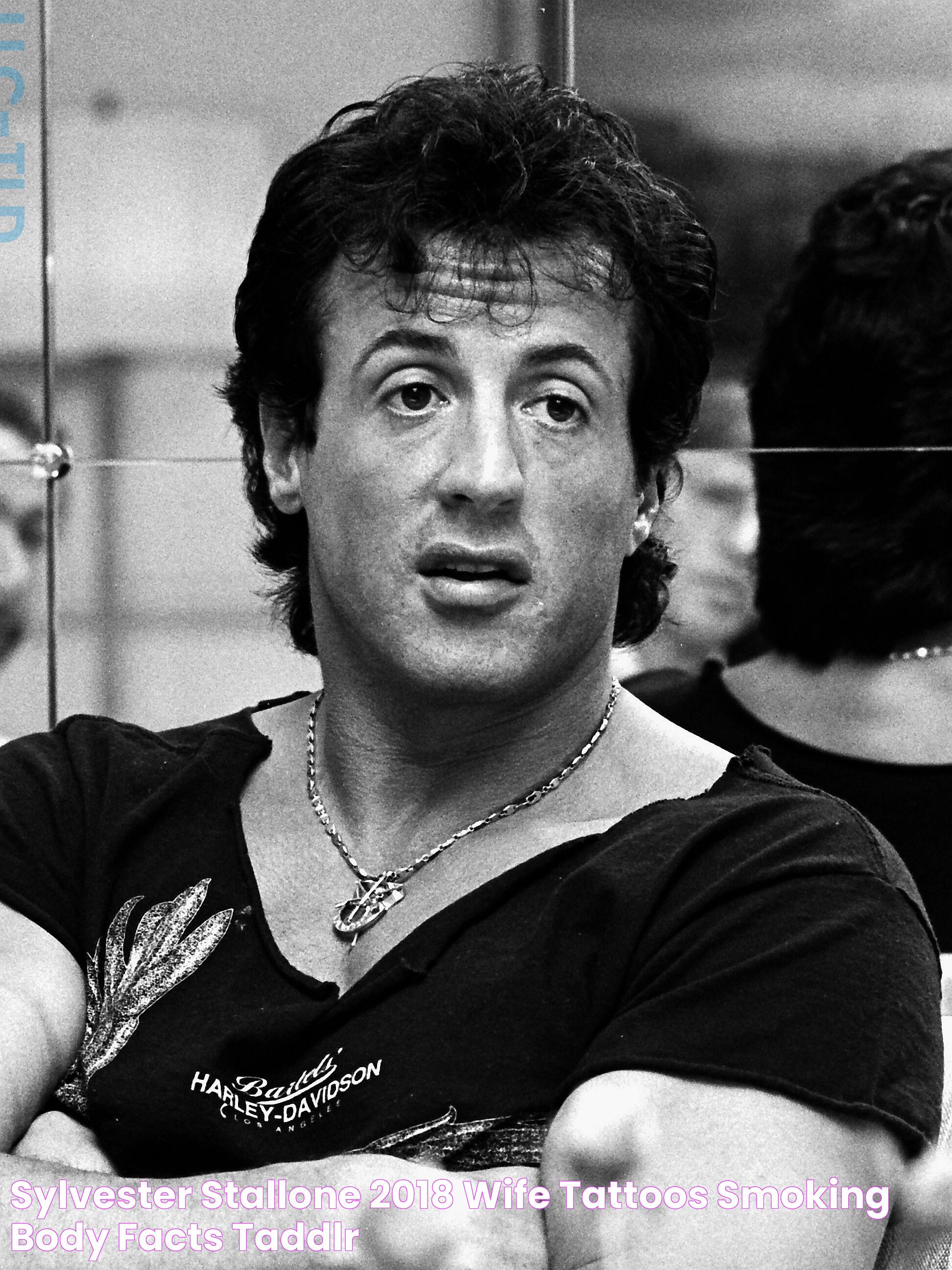 Sylvester Stallone 2018 Wife, tattoos, smoking & body facts Taddlr