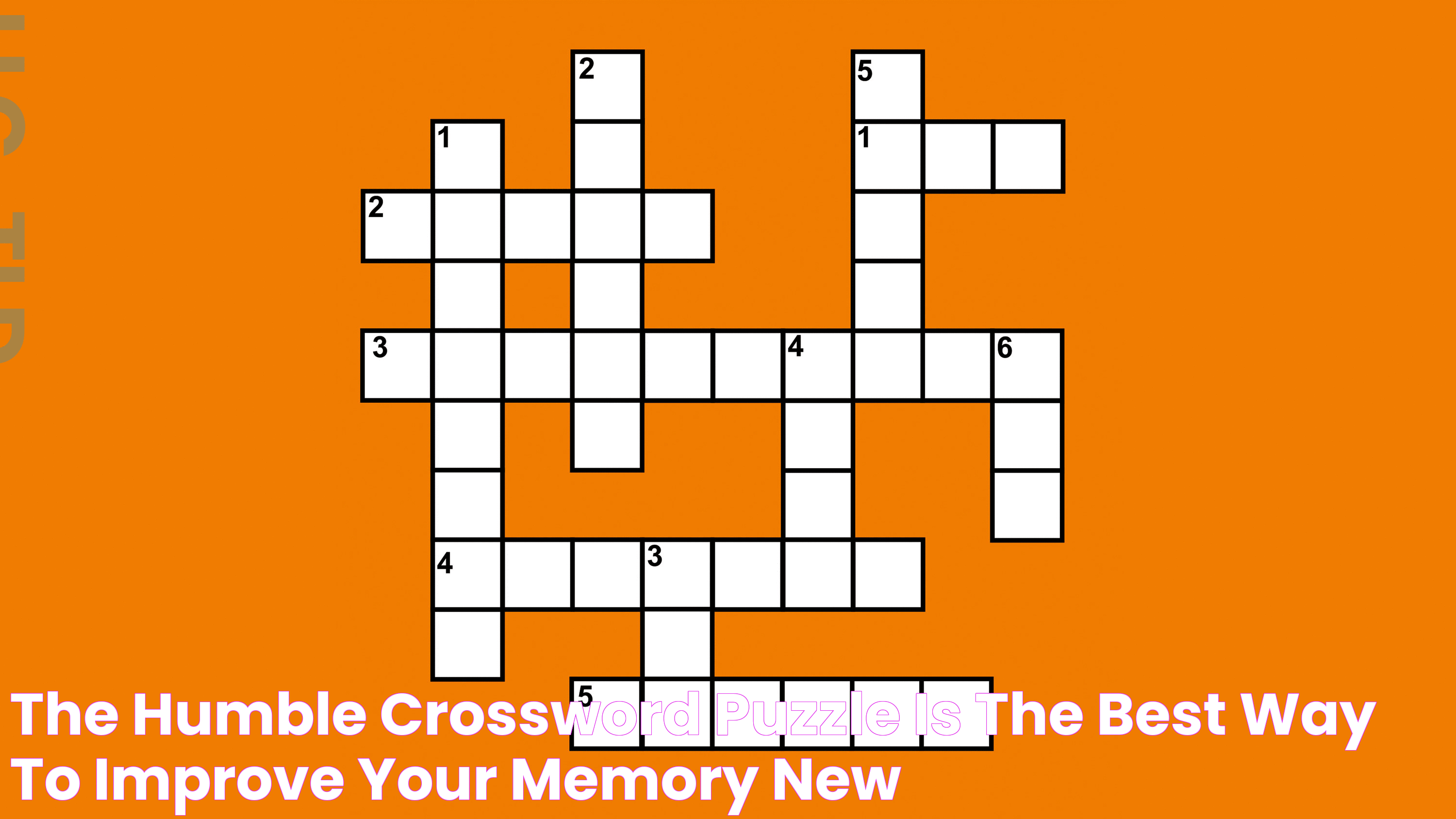 The Humble Crossword Puzzle Is the Best Way to Improve Your Memory, New