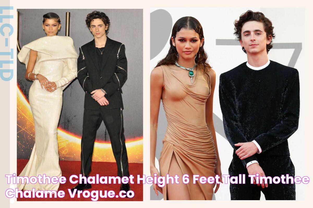 Timothee Chalamet Height 6 Feet Tall Timothee Chalame vrogue.co